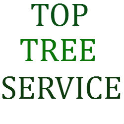 Top Tree Service